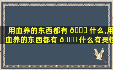用血养的东西都有 🐘 什么,用血养的东西都有 🐅 什么有灵性